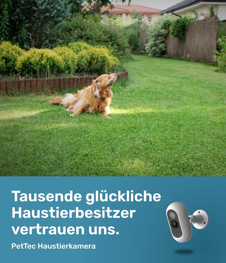 PetTec - Bundels aus Solar Panel für Überwachungskamera aussen und Pet Cam Free - Solarmodul 4,4W in