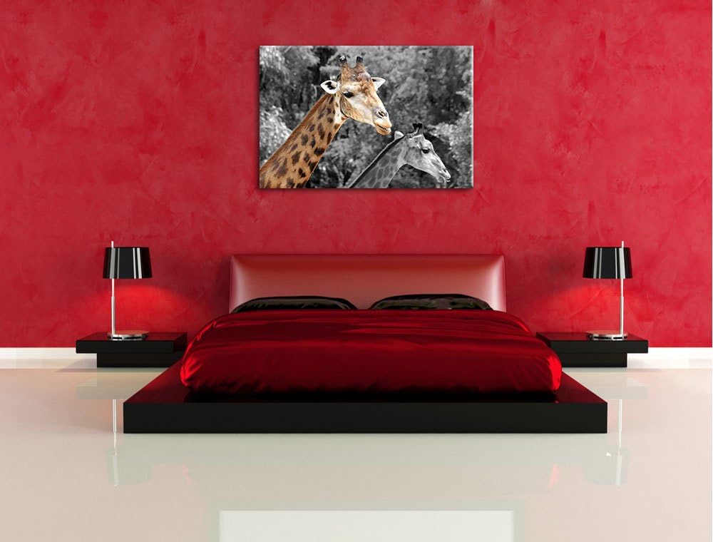 zwei schöne Giraffen schwarz/weiss Format: 100x70 auf Leinwand, XXL riesige Bilder fertig gerahmt mi