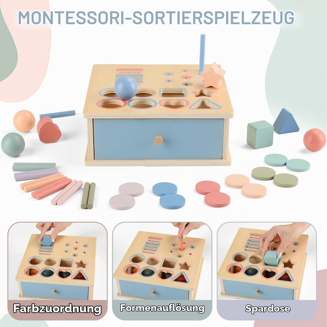 Montessori Spielzeug ab 1 2 3 Jahr, Farbe Form Sortierspiel ab 1 Jahr, Holzspielzeug Montessori ab 2