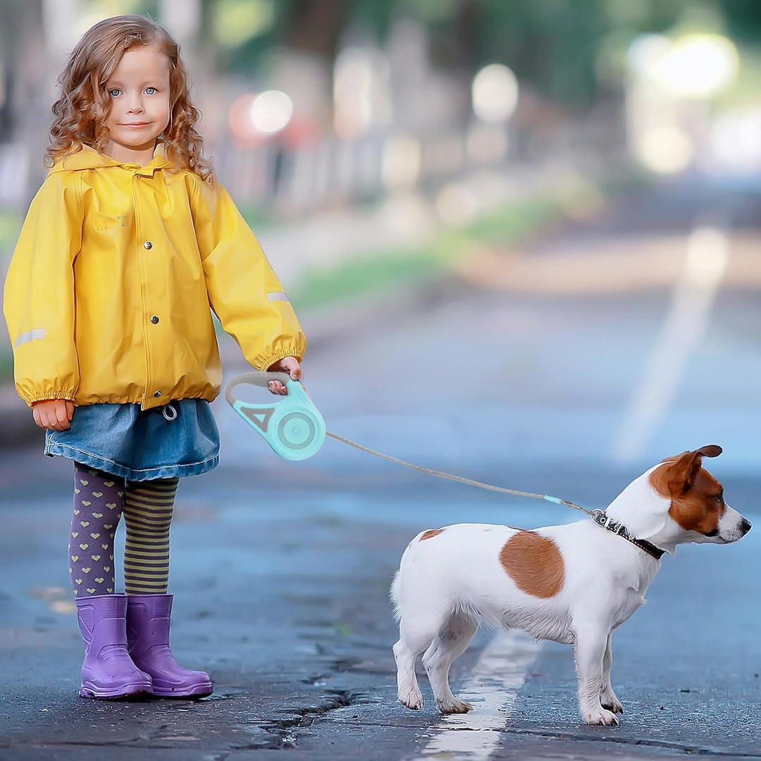 5 m Einziehbare Hundeleine,Strapazierfähige Hundeleine,Automatisch Ausziehbar, Für kleine,Mittelgros