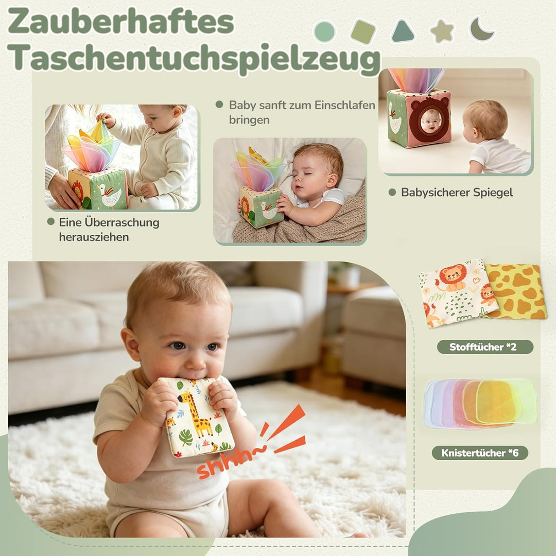 Montessori Spielzeug Baby ab 6 Monate, 5 in 1 Baby Spielzeug ab 7 8 9 Monate mit Bauklötze, Stapelri