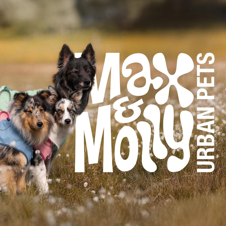 Max & Molly Regenmantel Hund wasserdicht, M, Schwarz, Sportliche Regenjacke für Hunde mit verstellba