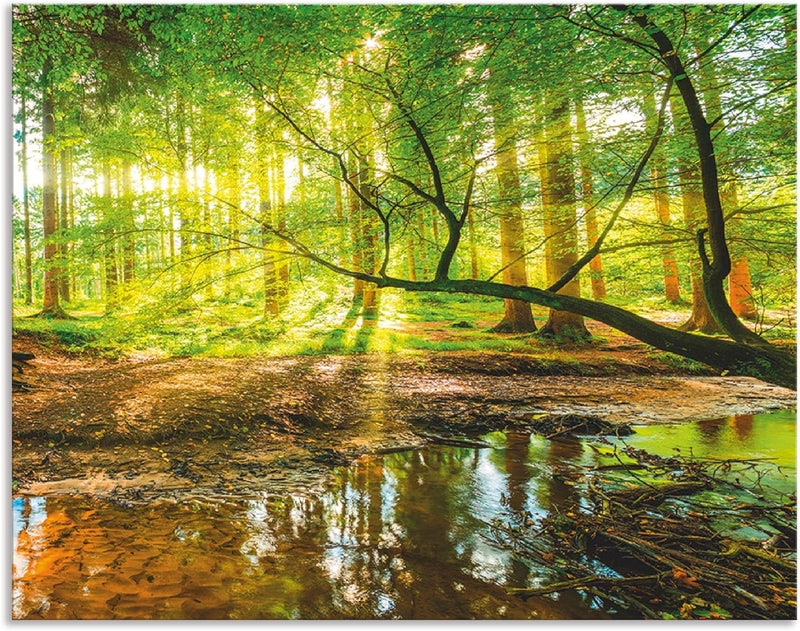 ARTland Spritzschutz Küche aus Alu für Herd Spüle 70x55 cm (BxH) Küchenrückwand mit Motiv Natur Land