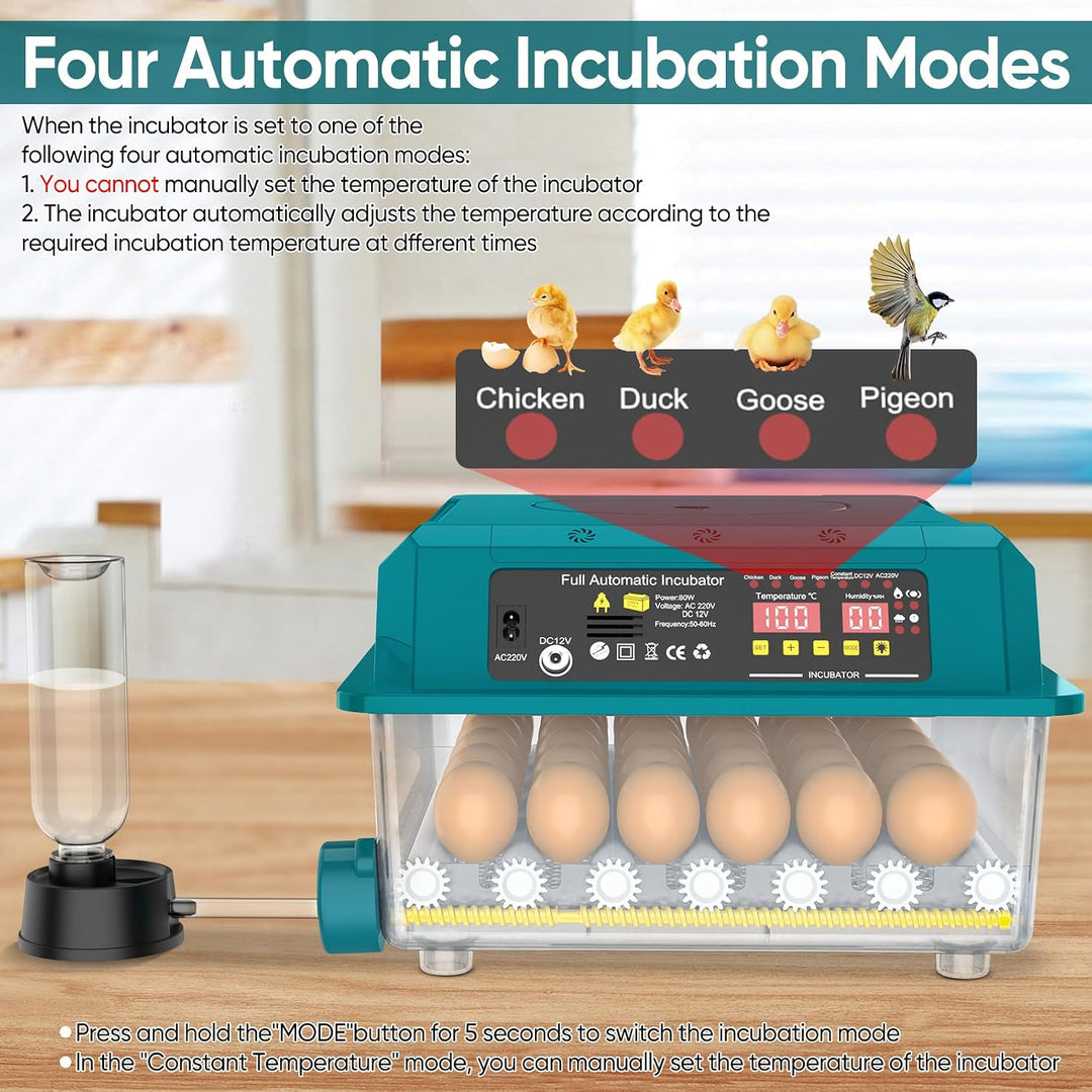 Automatischer Brutmaschine für 10 – 36 Eier, Inkubator für Eier, automatisch, Brutmaschine mit autom