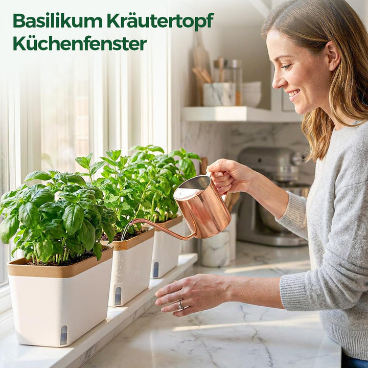 T4U 27cm Selbstwässernder Blumenkasten Kräutertopf mit ERD-Bewässerungs-System Braun 3er-Set Kunstst