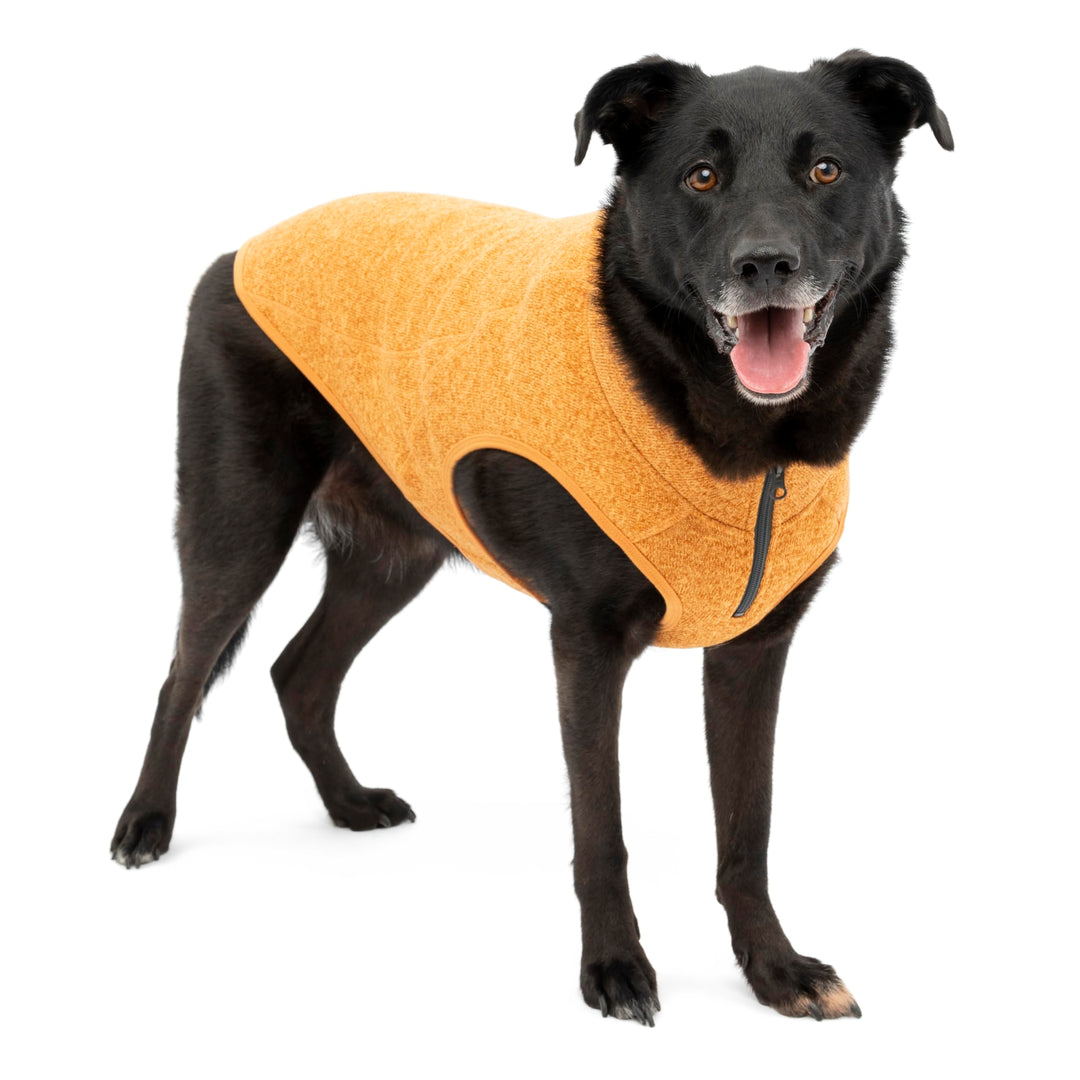 Kurgo Core Hunde-Pullover, Leichtes Fleece, Mit 2-Wege-Reissverschluss, Mit Hundegeschirr kompatibel