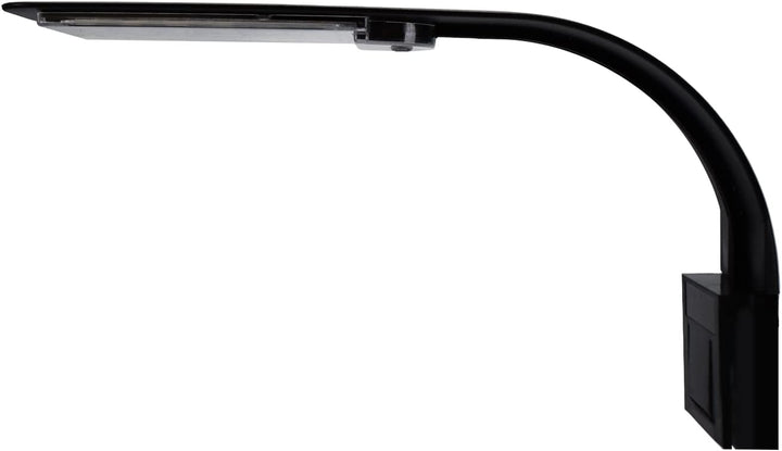 AQPET Aquarium FreshBox 30 Komplettset Lichtfilter Set aus Glas Modell Extrahell 30 x 30 x 30 cm 27