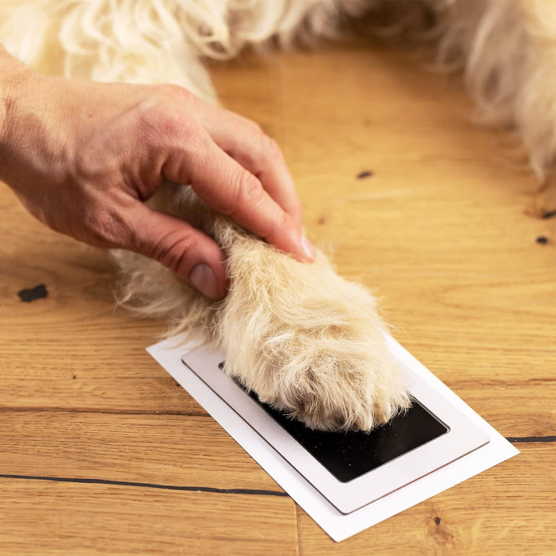 Navaris Urne für Hund oder Katze - Tierurne inkl. Platz für 2 Fotos und Pfotenabdruck - Hundeurne Ka