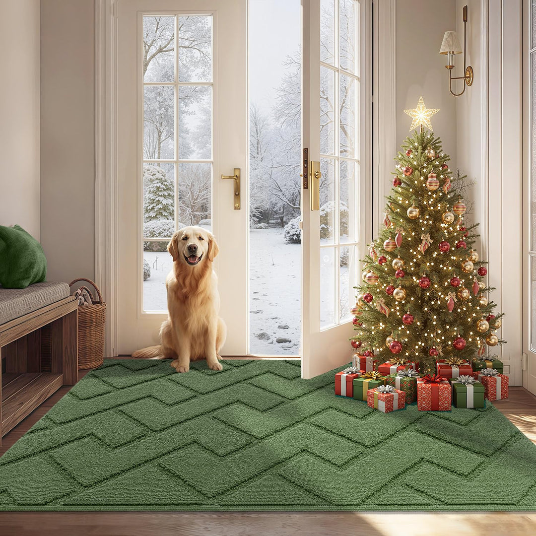 Biscpro Innen Aussen Fussmatte 80 x 100 cm, Schmutzfangmatte rutschfest Fussmatte Innen Waschbar Ein