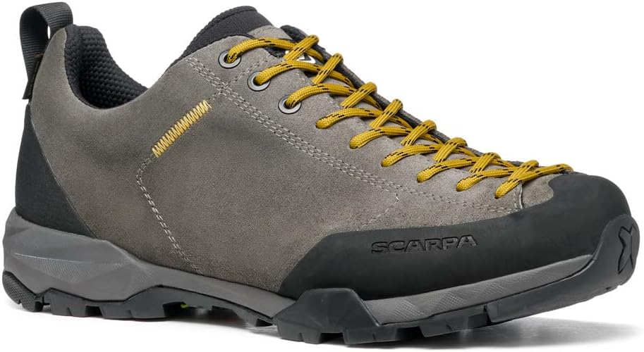 Scarpa Unisex Mojito Trail GTX Hkb Salix Traillaufschuhe 40 EU Titan, 40 EU Titan
