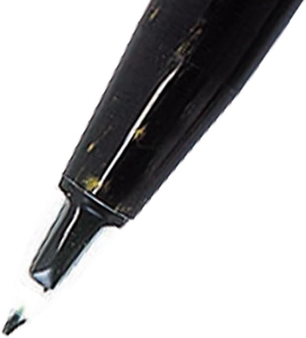 Pentel Fountain 12 Stück schwarz 1 Schwarz, 1 Schwarz