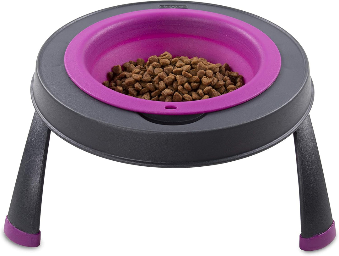 Dexas Pets Futternapf, erhöht, für 4 Tassen, Fuchsia, gross Large/4 Cup Capacity Fuchsia, Large/4 Cu