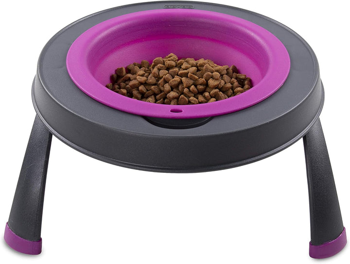 Dexas Pets Futternapf, erhöht, für 4 Tassen, Fuchsia, gross Large/4 Cup Capacity Fuchsia, Large/4 Cu