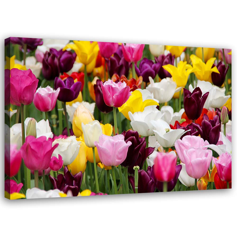 Feeby Wandbild Pflanze Druckbild Leinwandbild Tulpen mehrfarbig 100x70 cm Leinwandbild 100x70 cm meh