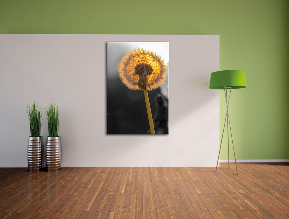 Pixxprint schöne Pusteblumen beim Sonnenuntergang schwarz/weiss, Format: 70x100 auf hochkantiges Lei