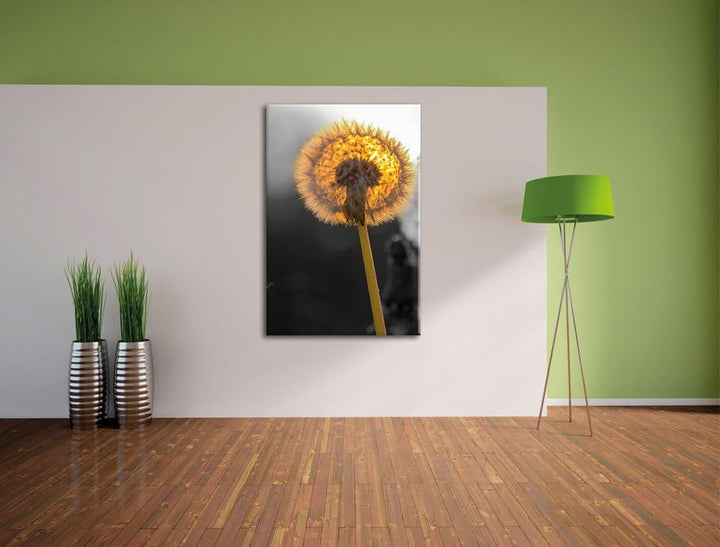 Pixxprint schöne Pusteblumen beim Sonnenuntergang schwarz/weiss, Format: 70x100 auf hochkantiges Lei