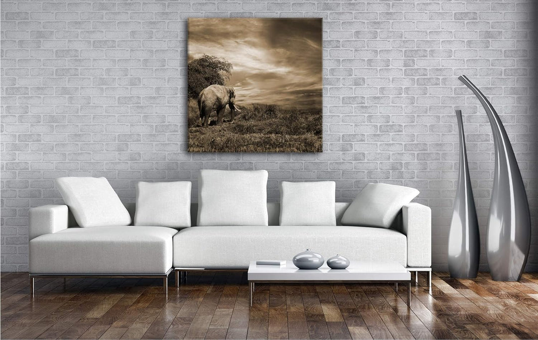 einsamer Elefant in der Steppe Format: 60x60 Effekt: Sepia als Leinwandbild, Motiv fertig gerahmt au