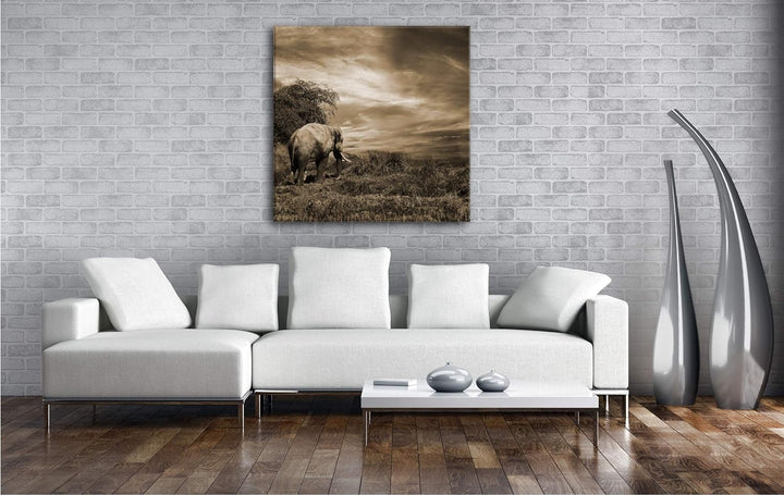 einsamer Elefant in der Steppe Format: 60x60 Effekt: Sepia als Leinwandbild, Motiv fertig gerahmt au