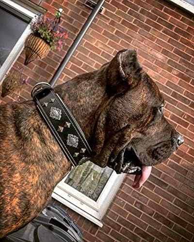 Bestia™ "Aztec Echtleder Hundehalsband für grosse Hunde. 100% Leder. Weich gepolstert. 6,3 cm breit.