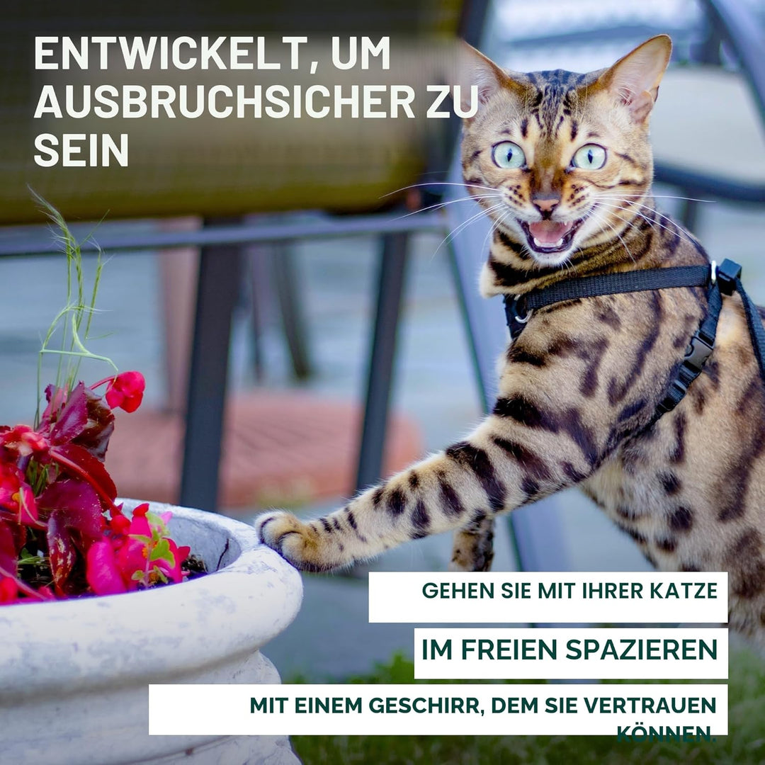 OutdoorBengal Katzengeschirr und Leine, gross, ausbruchsicher, erstickungsfrei, leicht, einfach anzu