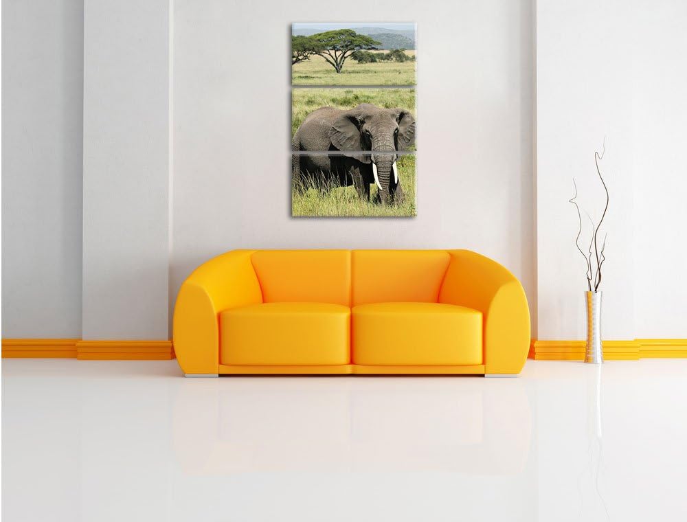 Pixxprint Elefant in der Savanne als Leinwandbild/Grösse: 3 Teilig (120x80) cm/Wandbild/Kunstdruck/f