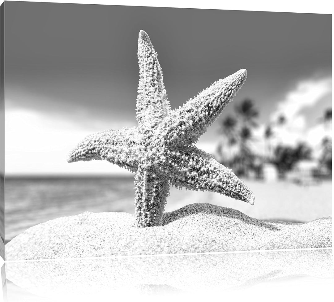 Pixxprint Seestern im Sandstrand von Palm Beach Kunst B&W, Format: 100x70 auf Leinwand, XXL riesige