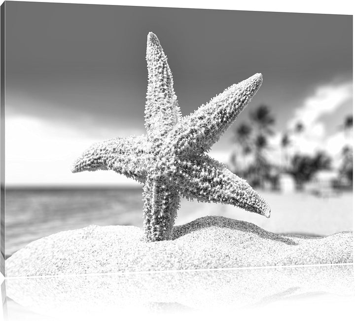 Pixxprint Seestern im Sandstrand von Palm Beach Kunst B&W, Format: 100x70 auf Leinwand, XXL riesige