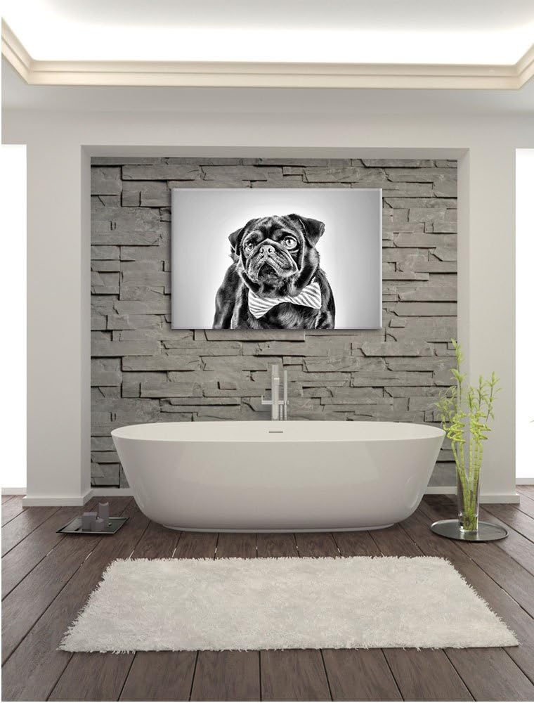 Pixxprint Lustiger Mops mit Fliege als Leinwandbild/Grösse: 100x70 / Wandbild/Kunstdruck/fertig besp