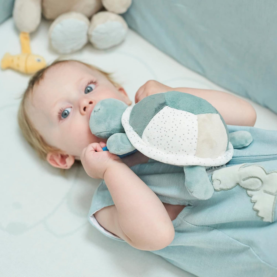 Nattou 875097 Aktivitätenschildkröte, Grün grün Schildkröte, grün Schildkröte