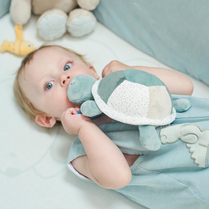 Nattou 875097 Aktivitätenschildkröte, Grün grün Schildkröte, grün Schildkröte
