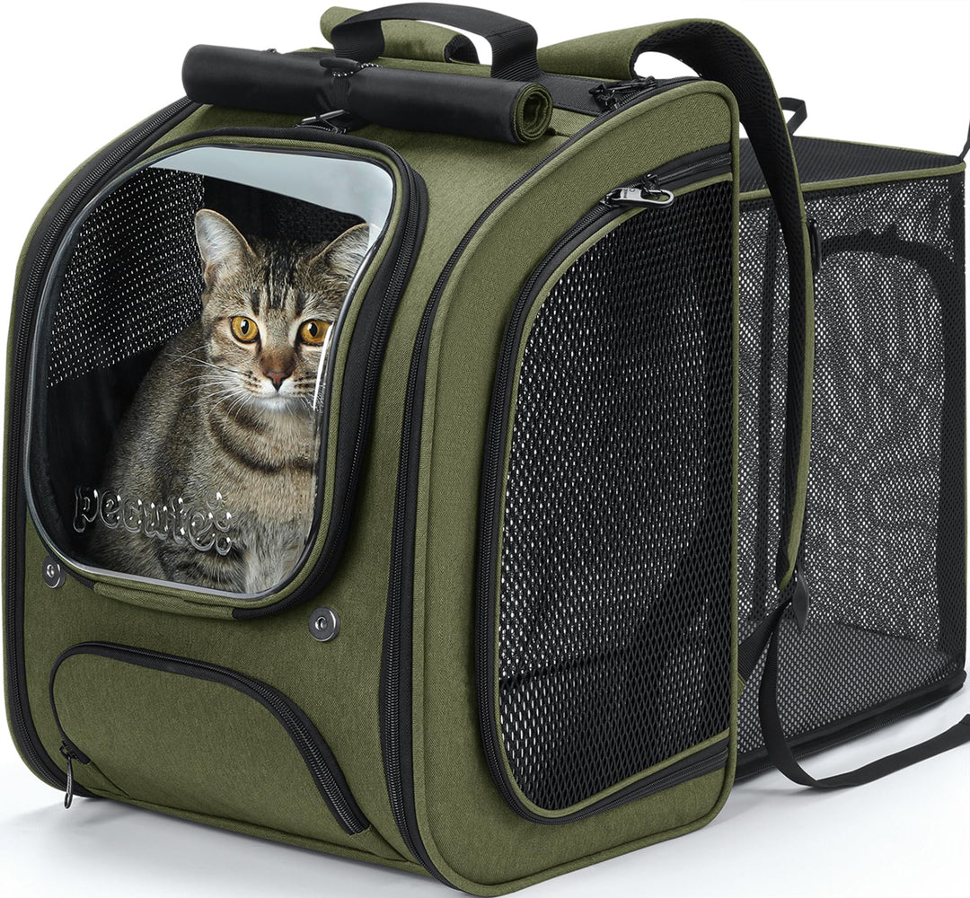 pecute Katzenrucksack Erweiterbar Bubble Haustier Rucksack mit Netzfenster, Tragbare und Faltbare Ka