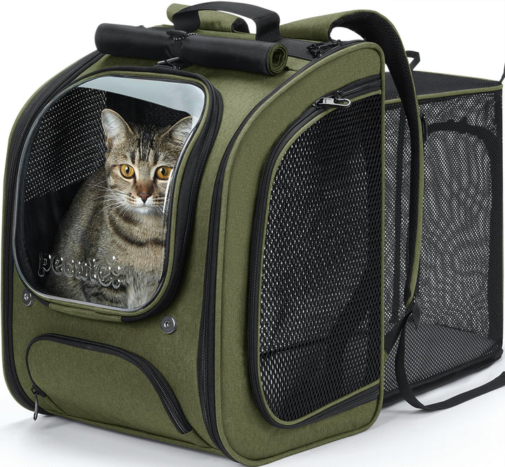 pecute Katzenrucksack Erweiterbar Bubble Haustier Rucksack mit Netzfenster, Tragbare und Faltbare Ka