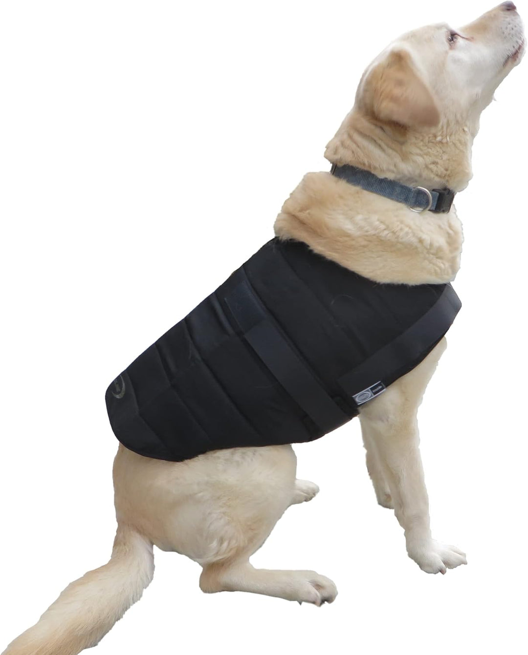 E.COOLINE PowerDog SX3 Kühlweste für Hunde | kühlende Weste für Vierbeiner | Klimaanlage zum Anziehe