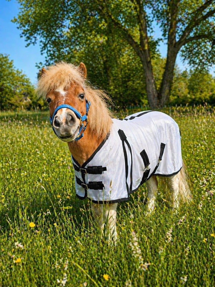 Fliegendecke + Halsteil, abnehmbar Netz fest 65 70 75 80 85 90 95 100 cm Minishetty Falabella Shetty