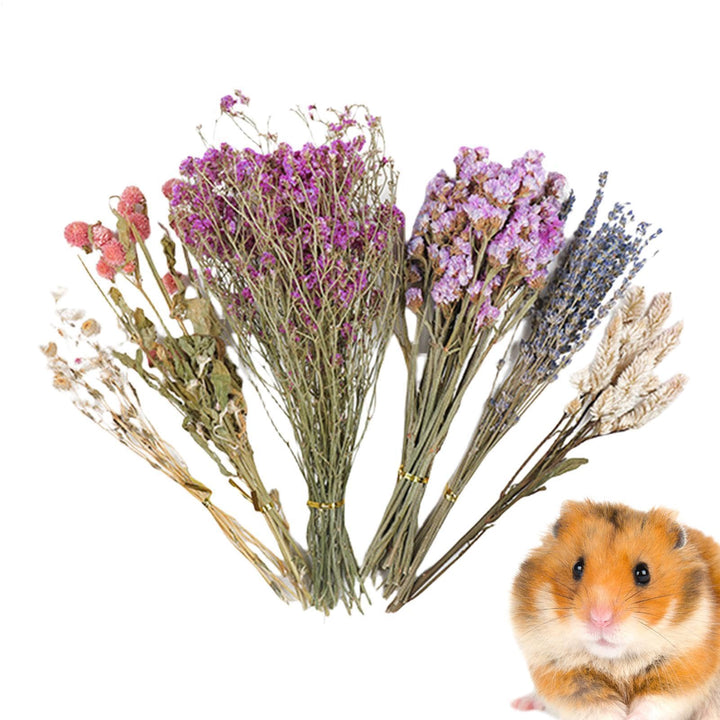Natürliche und weiche Hamster-Bettwäsche Mate Natürliche Hamster-Bettwäsche Blumen Kleintier-Blumen