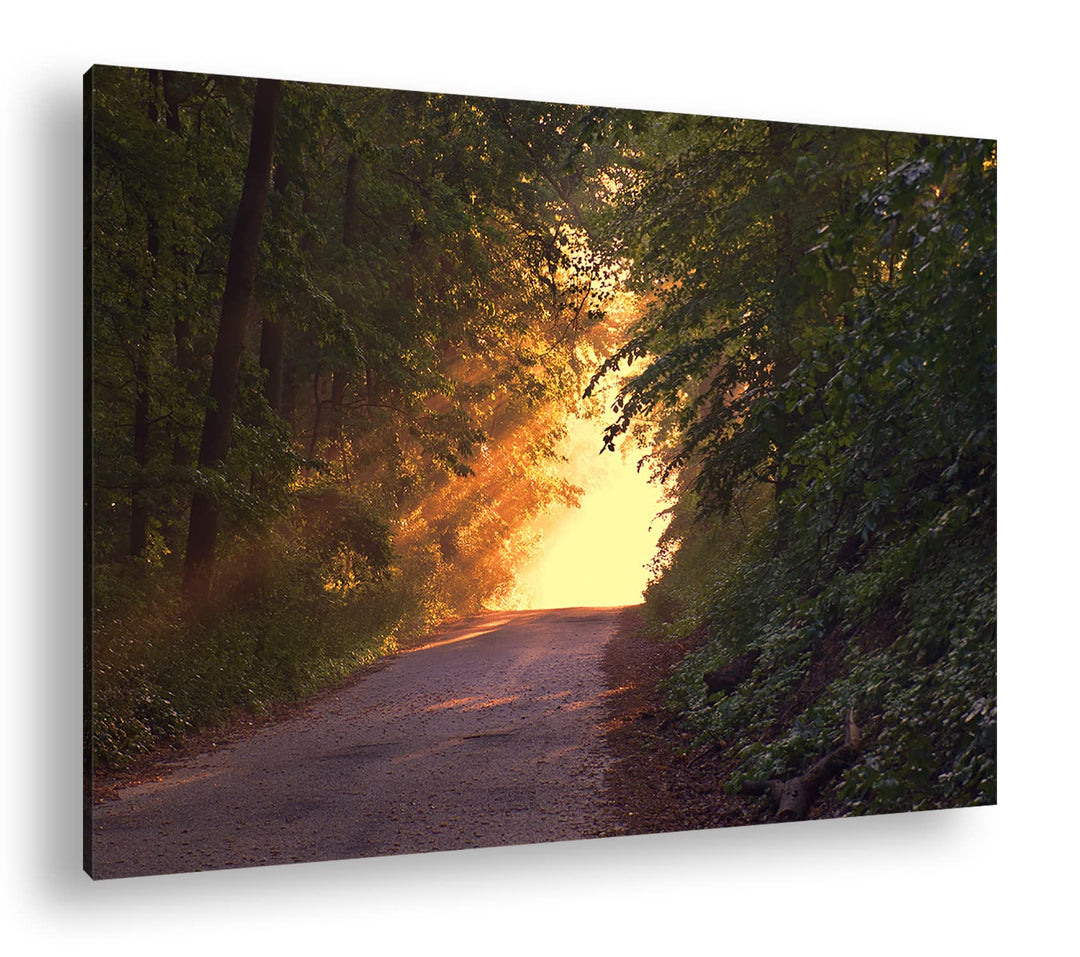 deyoli Waldweg im schönen Sonnenlicht am Abend im Format: 80x60 als Leinwandbild, Motiv fertig gerah