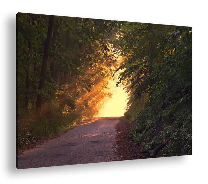 deyoli Waldweg im schönen Sonnenlicht am Abend im Format: 80x60 als Leinwandbild, Motiv fertig gerah