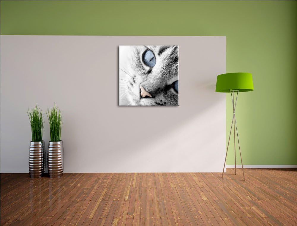 Pixxprint schöne Katzenaugen als Leinwandbild/Grösse: 70x70 cm/Wandbild/Kunstdruck/fertig bespannt,