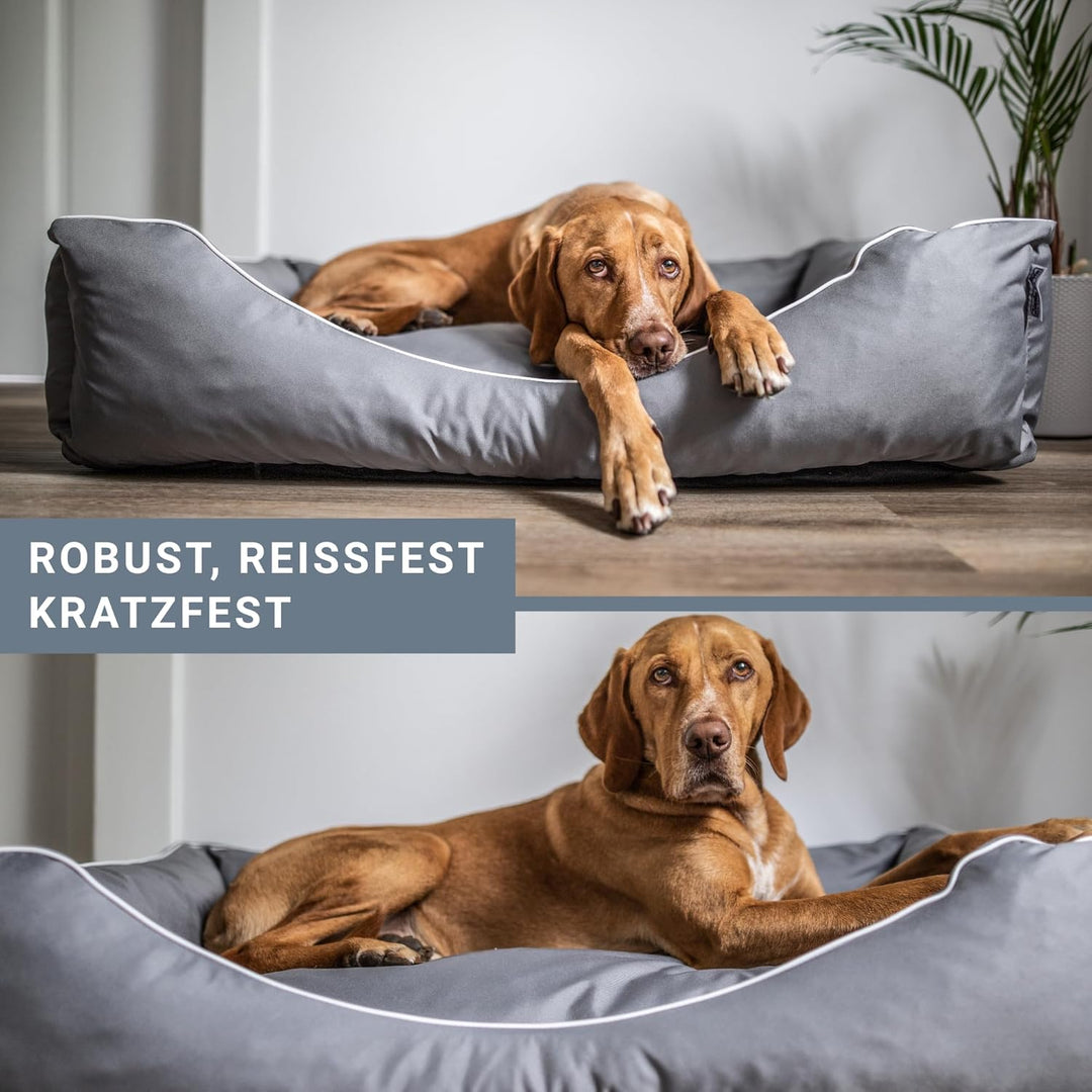 Tante Hilde Hundebett Norderney XXXL (120x90x25) Blau – Waschbar, Robust und Gemütliches Hundebett &amp;