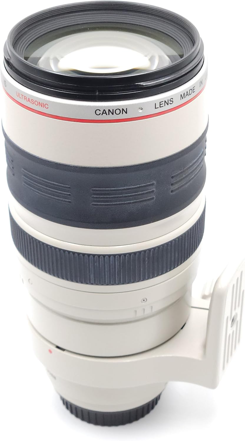 Canon EF 100-400mm f/4.5-5.6L IS USM