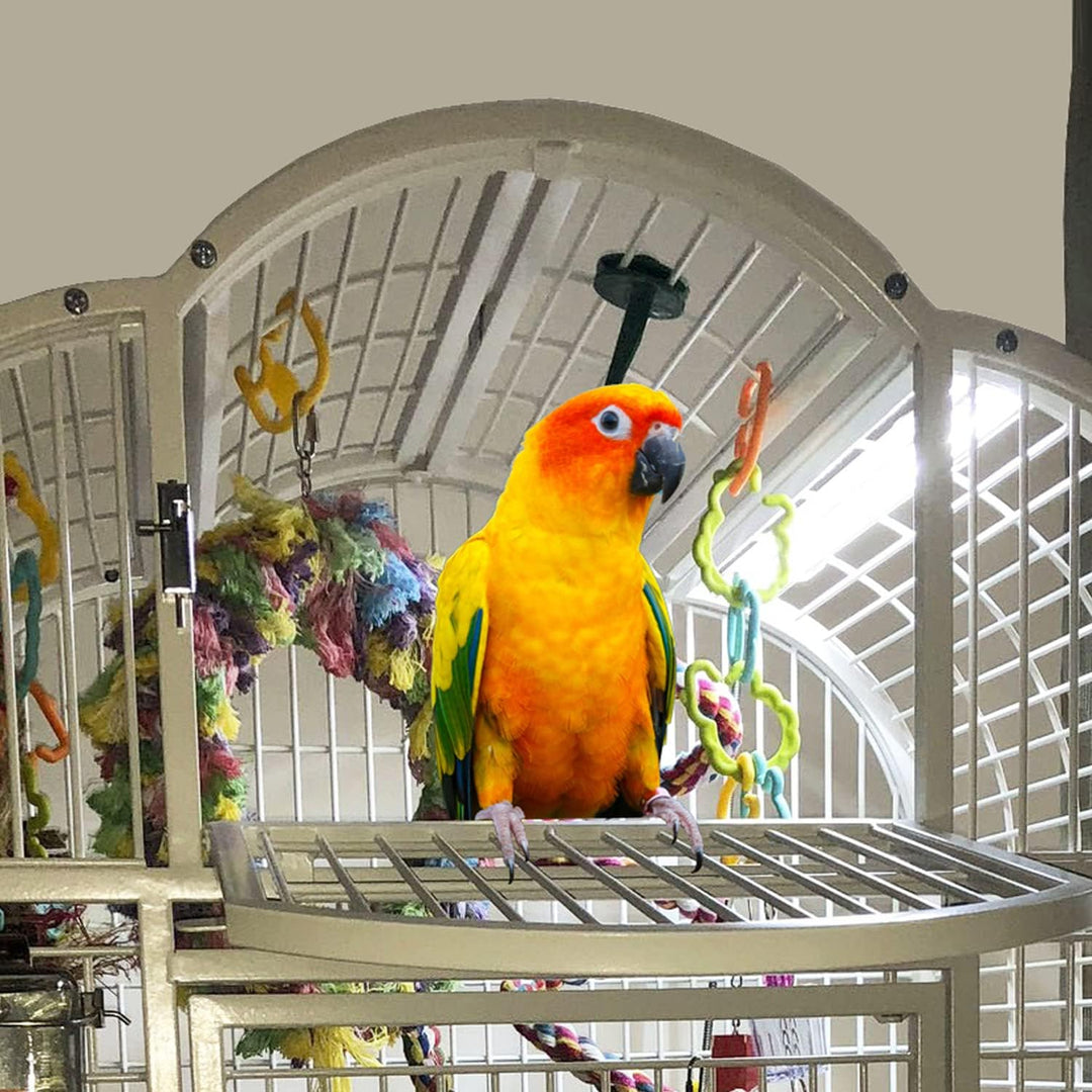 M&M Cage Company HappyBird Vogellampe mit Knabberschutz | Vollspektrum LED Tageslichtlampe für Vögel