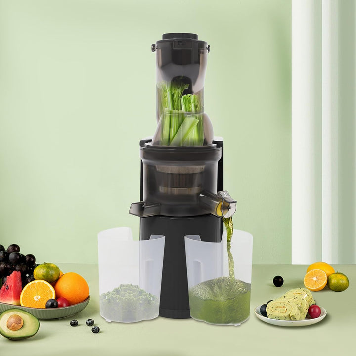 Langsamer Entsafter Slow Juicer 48 Umin Gemuese Obst