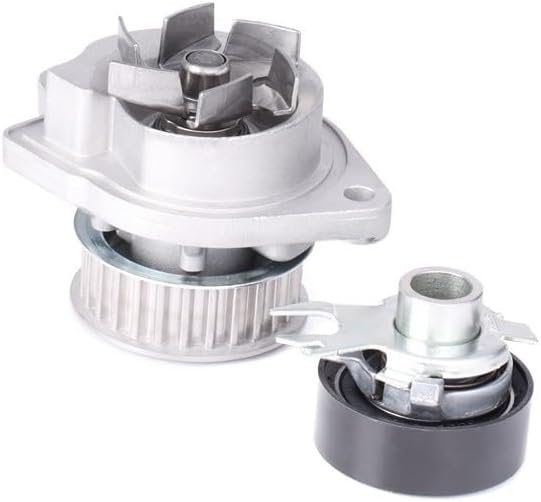 INA 530 0166 31 Wasserpumpe + Zahnriemensatz