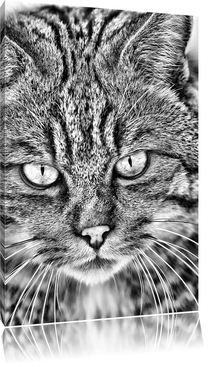 Monocrome, lauernde Manul, Format: 100x70 auf Leinwand, XXL riesige Bilder fertig gerahmt mit Keilra