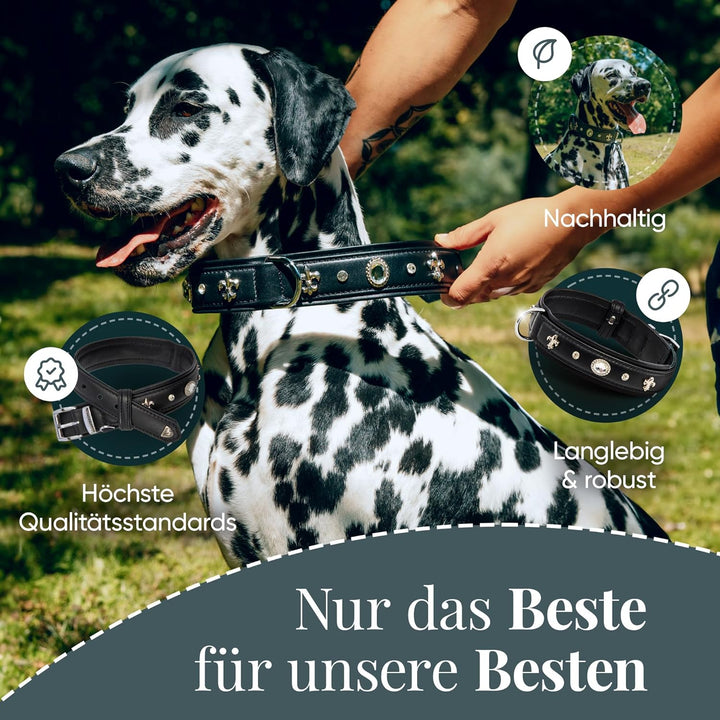 MICHUR Gala Hundehalsband Leder, Lederhalsband Hund, Halsband, Schwarz, Leder, mit Lilien,Strassstei