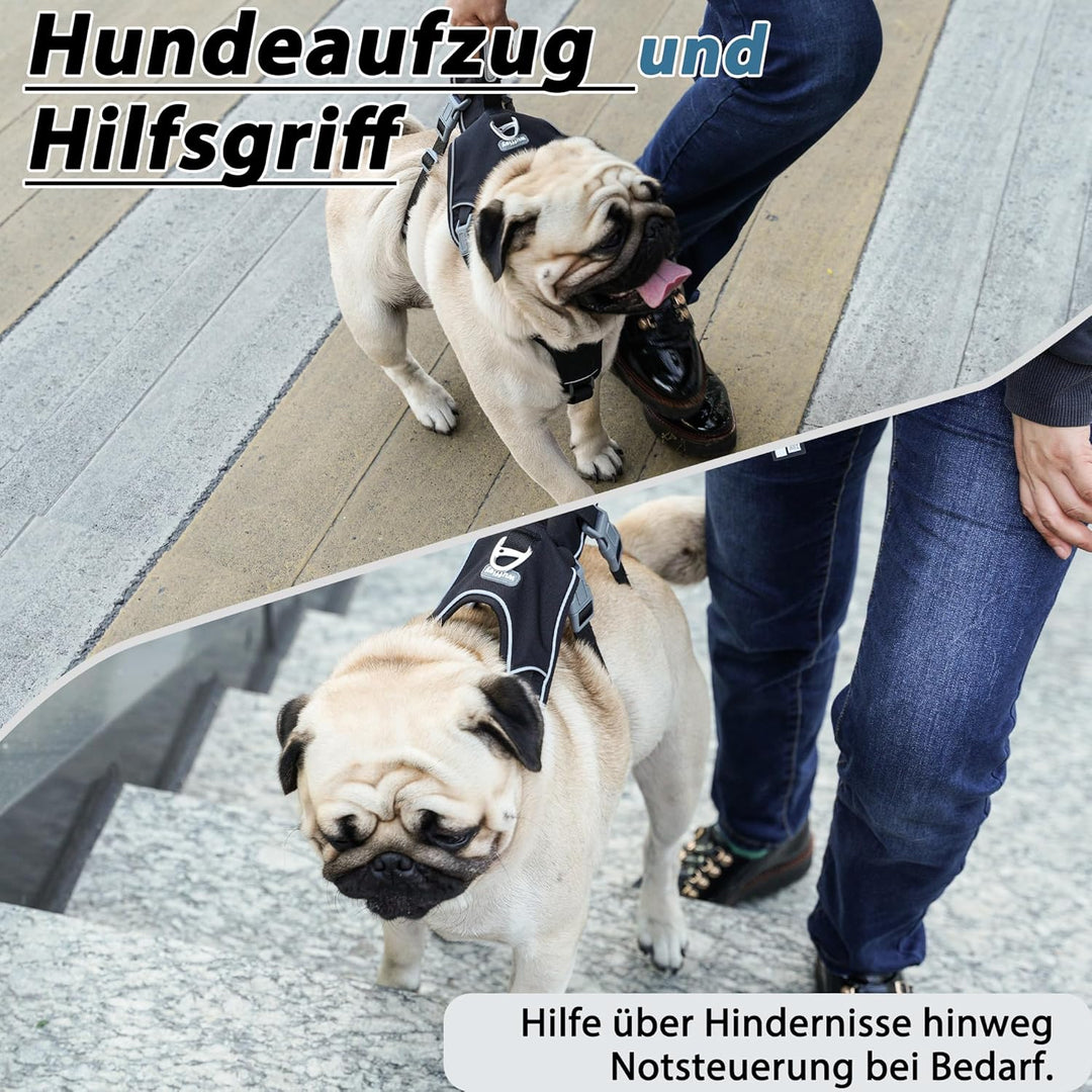 Wuffley Hundegeschirr mit Leine, Sicherheitsgeschirr Hund Ausbruchsicher, Anti Zug Hundegeschirr mit