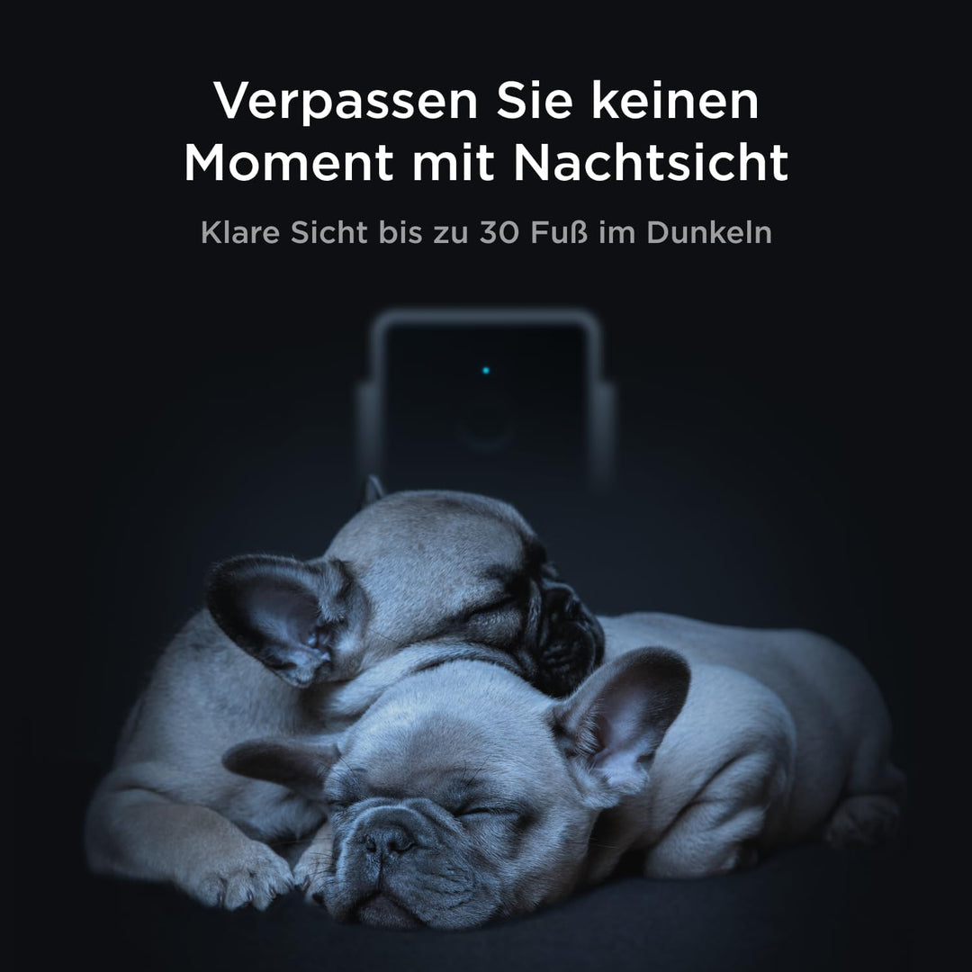 Petcube Cam Pet Monitoring Camera (Haustierüberwachungskamera) mit integriertem Tierarzt-Chat für Ka