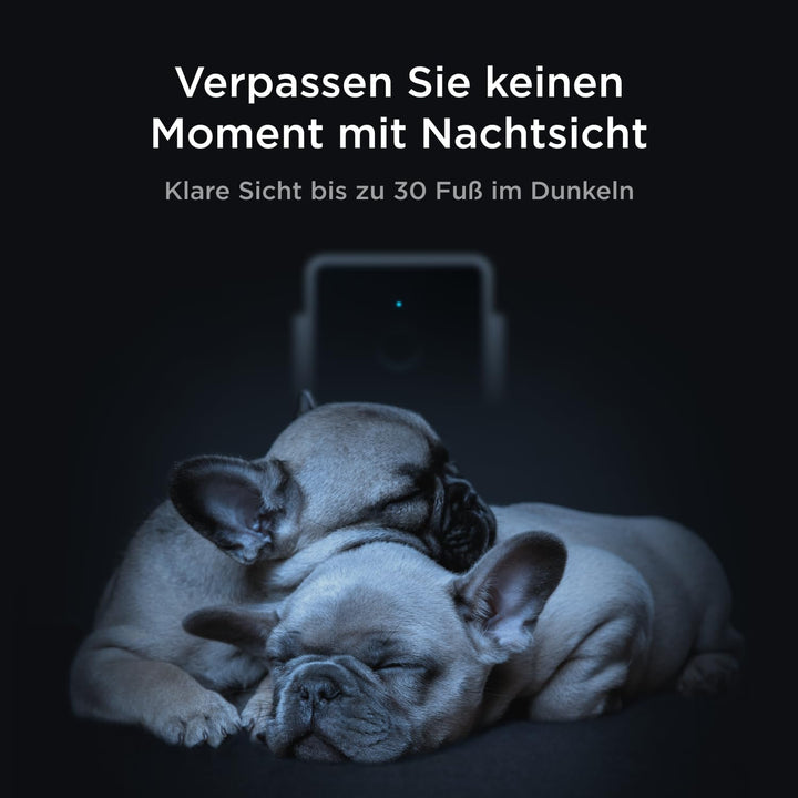 Petcube Cam Pet Monitoring Camera (Haustierüberwachungskamera) mit integriertem Tierarzt-Chat für Ka