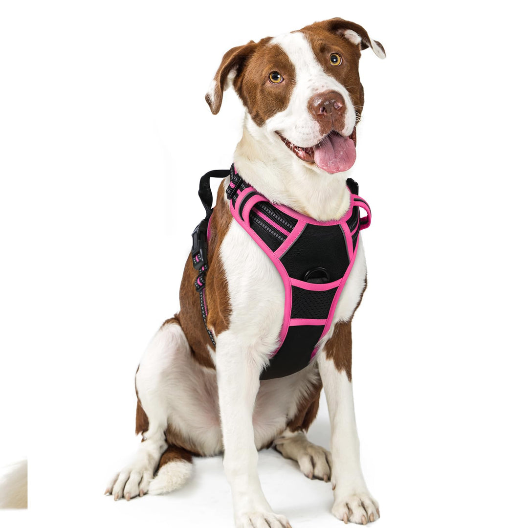 rabbitgoo Hundegeschirr Mittelgrosse Hunde, Anti Zug Geschirr mit Kontrolle, No Pull Verstellbar Hun
