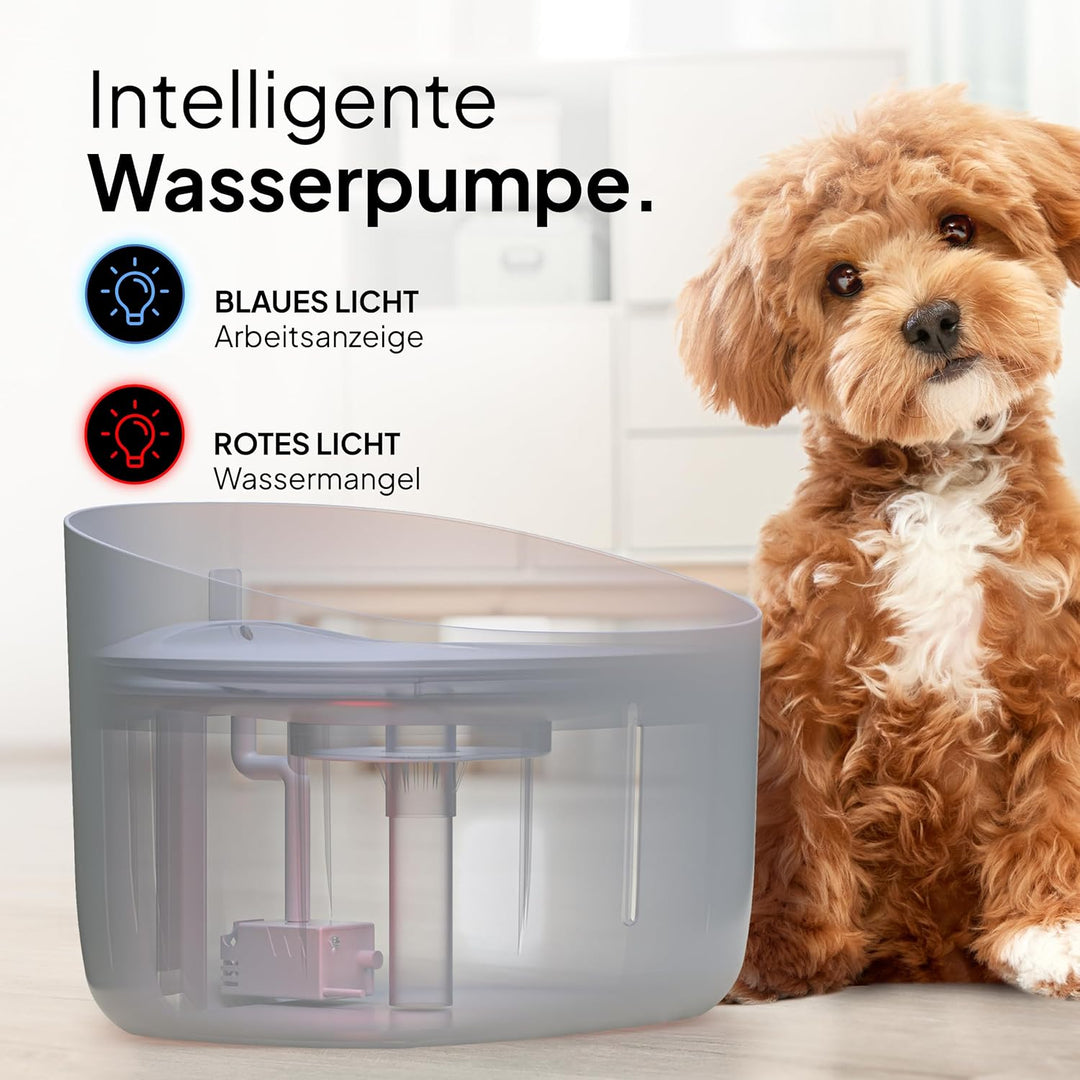 Pretty PAW® Trinkbrunnen für Hunde I Super leiser Hunde Trinkbrunnen mit 7 Liter Wassertank I BPA-fr